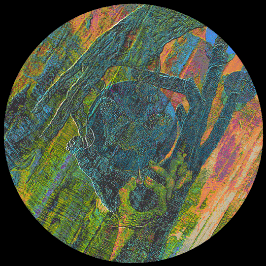 jurij mindMe hands on gif